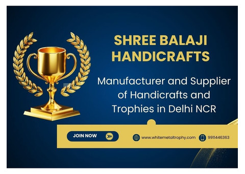 Affordable Trophy Manufacturer in Delhi NCR – Bulk Orders Accepted