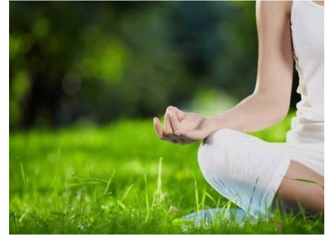 Transform Your Life with a Certified Wellness Coach Online