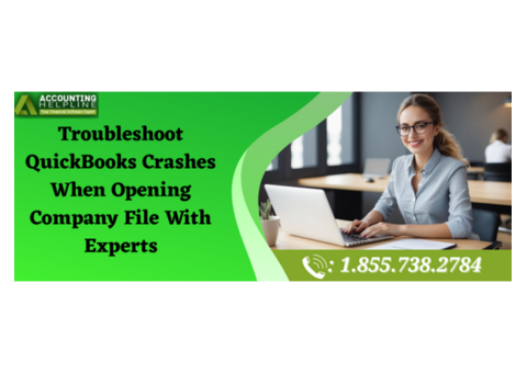 Expert Solutions for QuickBooks Crashes When Opening Company File