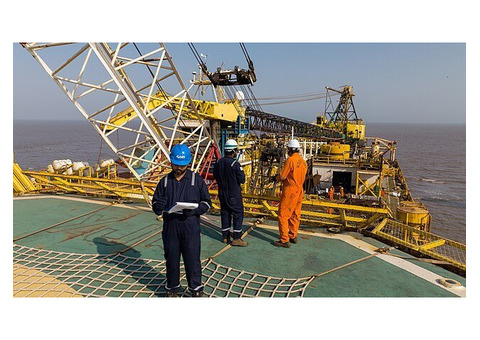 Marine Surveyors & International Inspection Company UAE, USA
