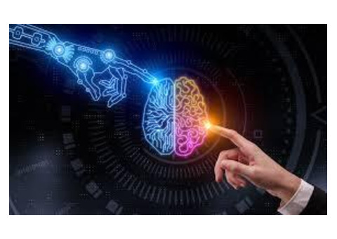 Choose the Best AI ML Development Company in India