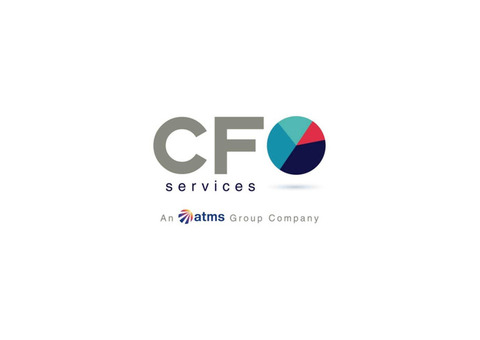 Flexible Virtual CFO Support Services