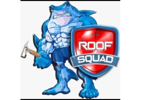 The Roof Squad