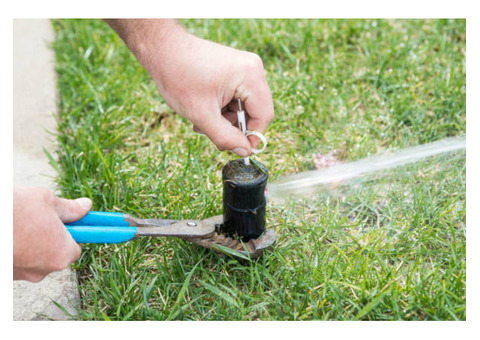 American irrigation and Landscaping | Landscape Designer