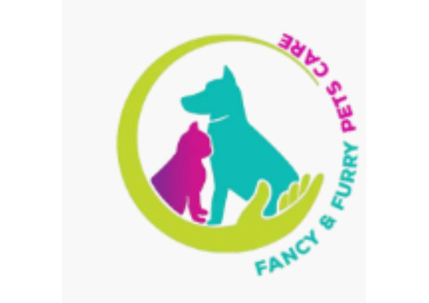 Best Pet taxi Duba