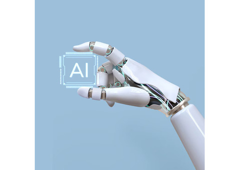 Invoidea is a Trusted Artificial Intelligence Development