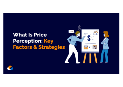 Price Perception: Boost Sales with WebDataGuru's AI-Powered Strategies