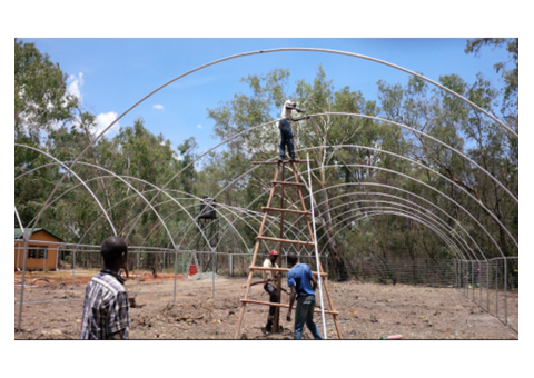 Greenhouse Structure Materials in Kenya