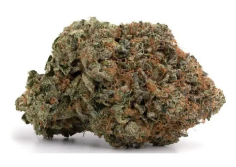 Buy Forbidden Fruit Cannabis
