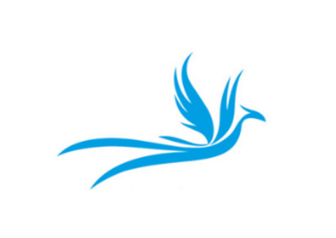 Largest Online B2B Drone Marketplace - Beyond SKY