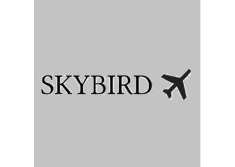 Explore Custom Airport Maps & Travel Essentials