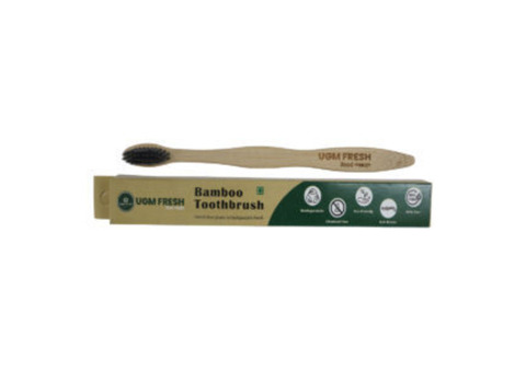 Buy Wooden Toothbrush with Natural Bristles