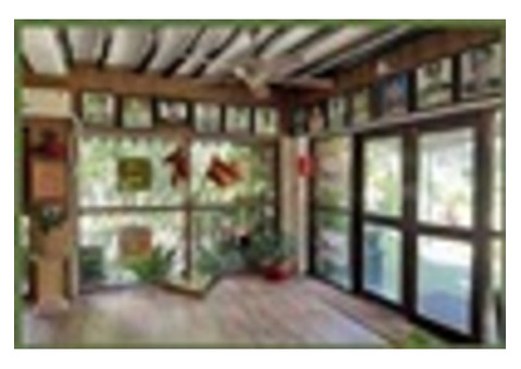 Luxury Forest Retreat/Hotel in Dehradun