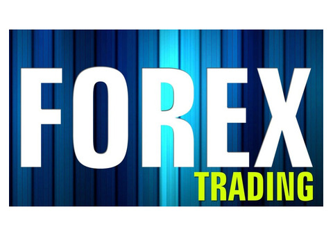 Best Forex Brokers in the World for High-Volume Traders