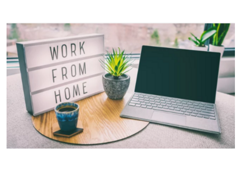 Online Business Opportunity- Get Started Now!