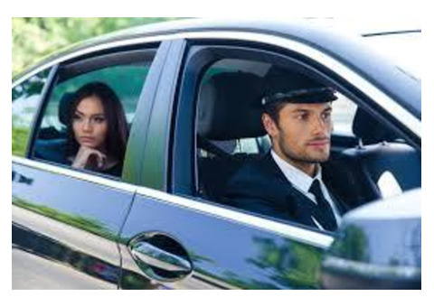 Find Best Golden Triangle Private Driver in India
