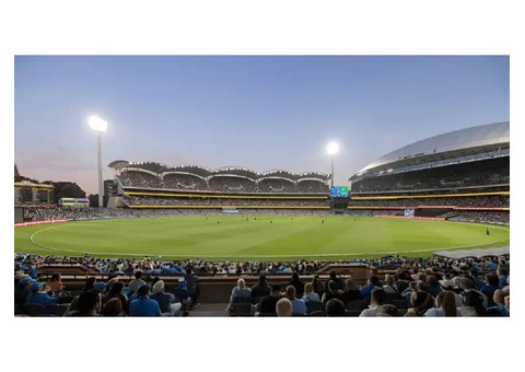 Why Winfix is the Best Betting App Cricket Fans Trust in 2025
