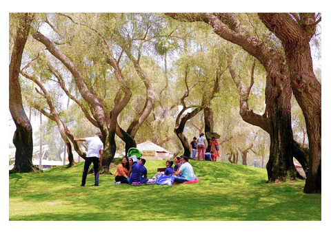 Mushrif Park Dubai: Family Fun in a Natural Oasis