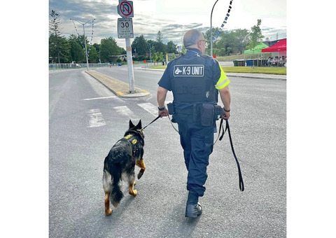 K9 Unit Security Services Malaysia | Trained Security Dog Handlers