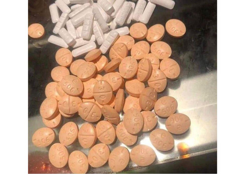 Order  Adderall-XANAX-OXYCONTIN-Lorcet .ect