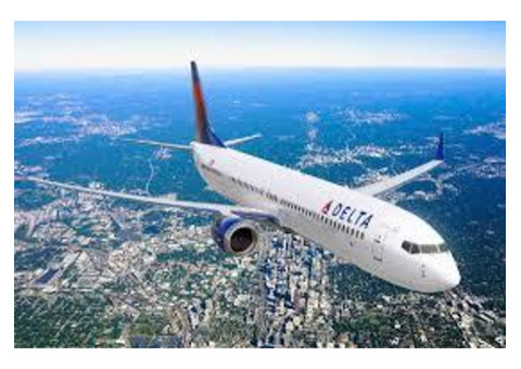 Delta Airlines Office in Manila - Flight Booking & Travel Support