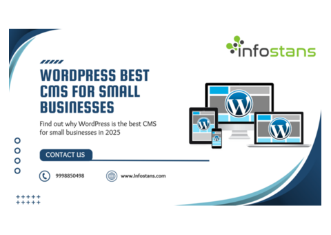 WordPress is the Best CMS for Small Businesses in 2025