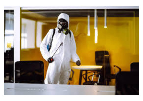 Reliable Home Pest Control Services Coquitlam for a Pest-Free Home