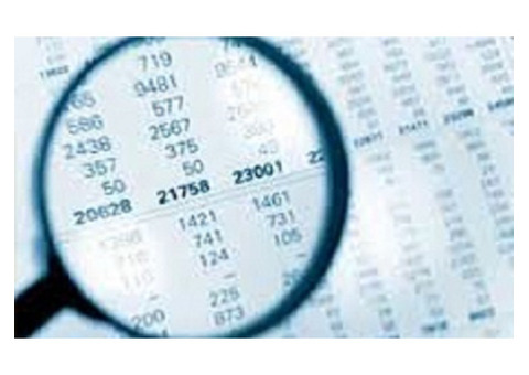 Transfer Pricing Study
