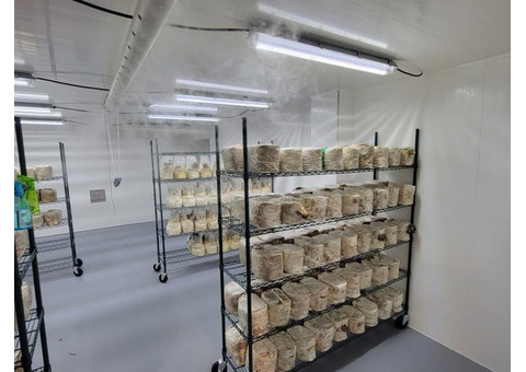 PVC warehouse wall panels are easy to clean and sanitize
