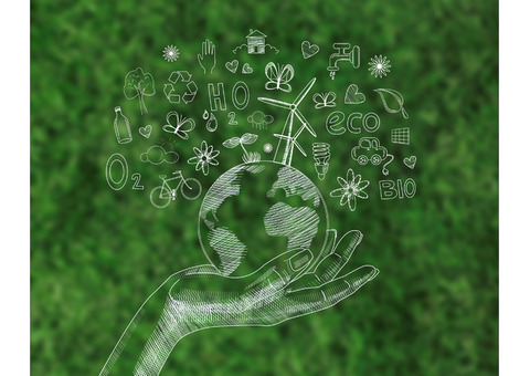Taxxon: Innovative Solutions for Effective Carbon Reduction