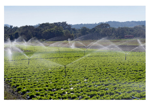 Micro Irrigation to Improve Crop Health in Karnataka