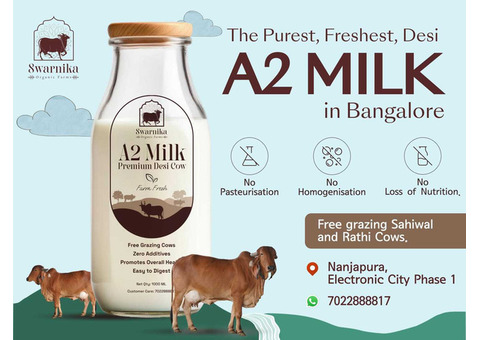 A2 desi cow milk delivery in Electronic city