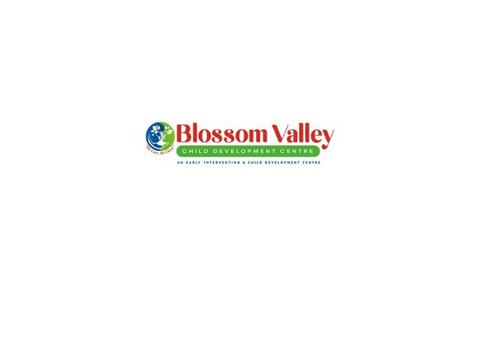 Speech Therapy for Kids at Blossom Valley Therapy Centre