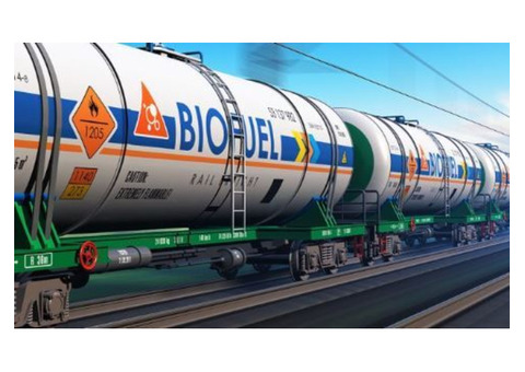 Biofuels Sector in the U.S: What We Can Expect?