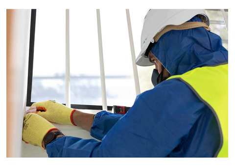 Protecting Your Home and Health: The Importance of Lead Removal