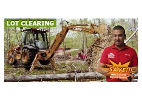 Professional Land Clearing in Morris County, NJ