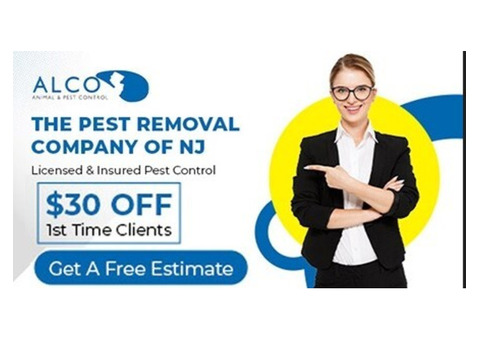 Reliable Pest Removal in Passaic County, NJ