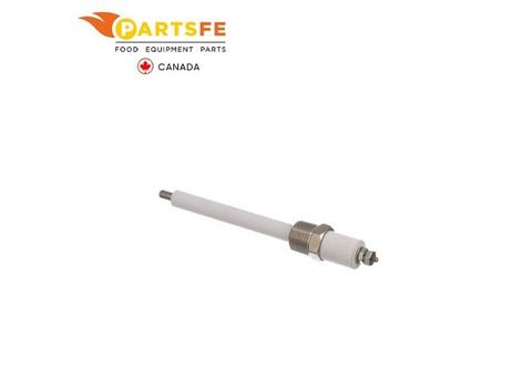 Groen Z015589 Water Level Probe PartsFe CA