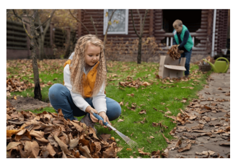 Expert Services for Garden Clearance | Ambition Services LTD