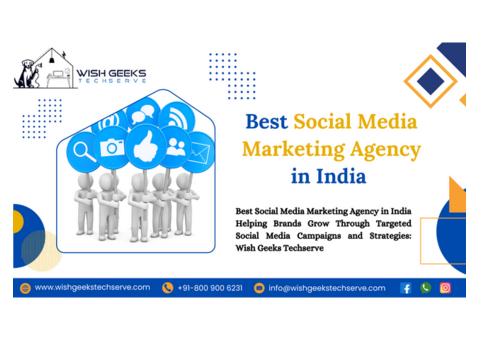 Affordable SMM Services for Indian Businesses: Wish Geeks Techserve