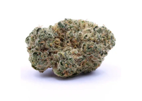 Top Weed Delivery in Scarborough – Same-Day Service