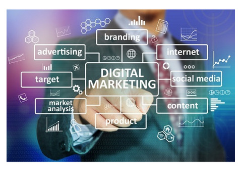 Google-Certified Digital Marketing Agency in Delhi