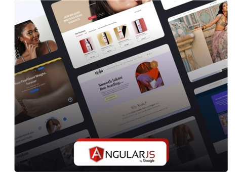 Need an Expert Angular JS Development Service?