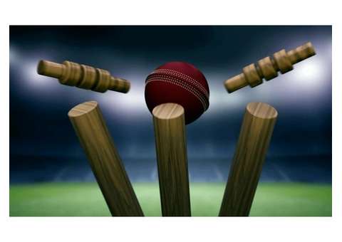 Winfix – Best Betting App Cricket Today
