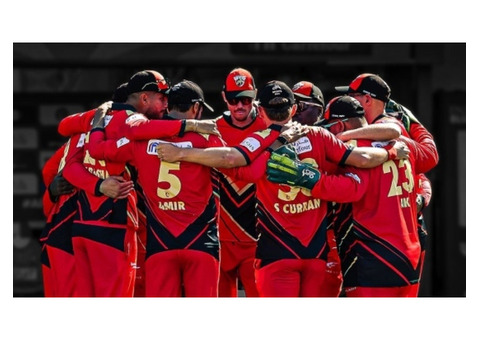 Winfix – Cricket Team Prediction App for Smart Betting