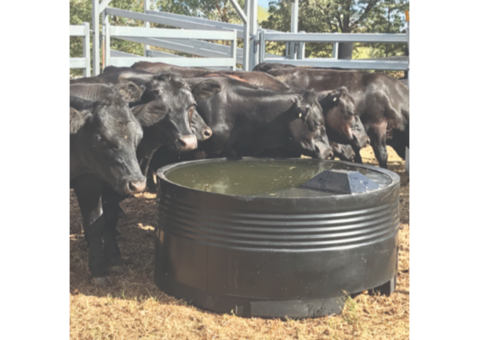 Protect Your Water Supply with Quality PVC Plastic Water Tanks