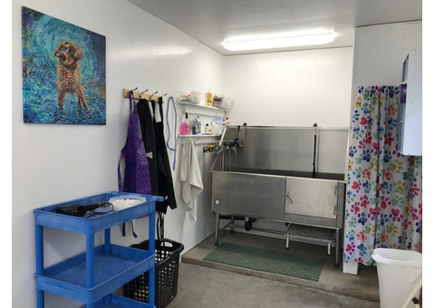 Vinyl wall covering for dog kennels is convenient to clean