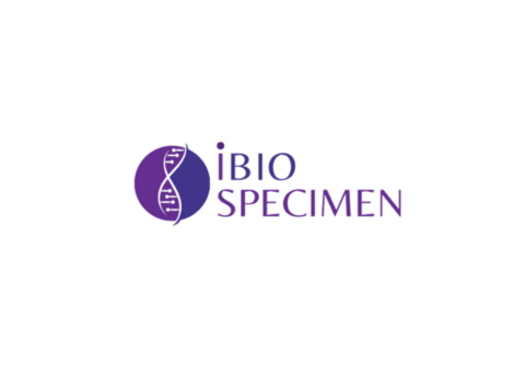 Order Histopathology Samples | iBioSpecimen