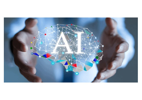 Top Web Development Company in NY