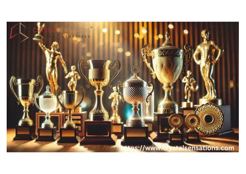 Celebrate Excellence with Premium Trophies and Awards